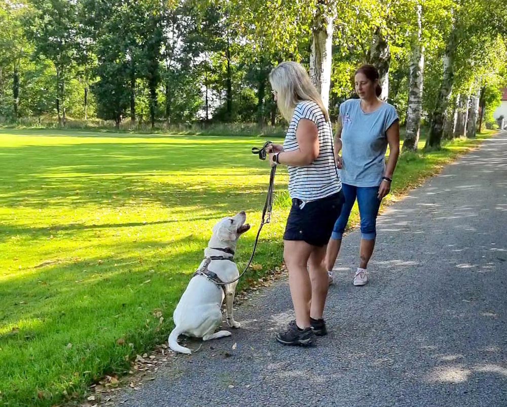 Individuelles Einzeltraining
