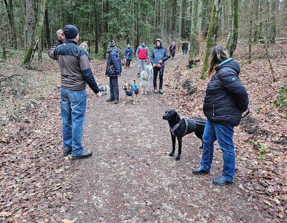 Social Walks Fellrabauken